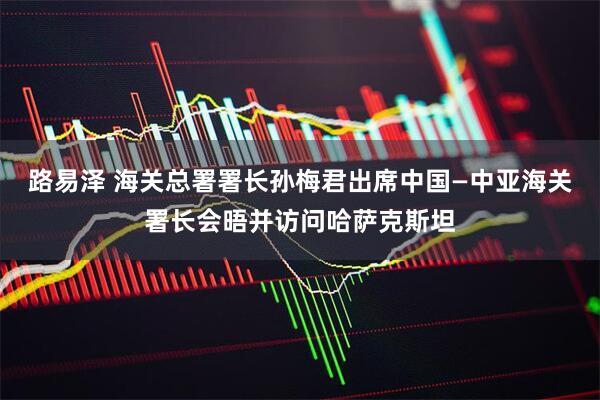 路易泽 海关总署署长孙梅君出席中国—中亚海关署长会晤并访问哈萨克斯坦