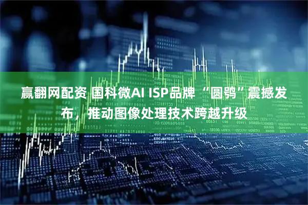 赢翻网配资 国科微AI ISP品牌 “圆鸮”震撼发布，推动图像处理技术跨越升级